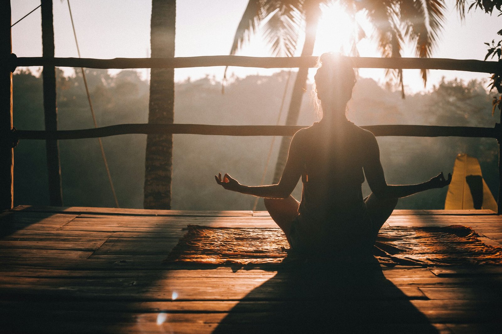 Wellness Care